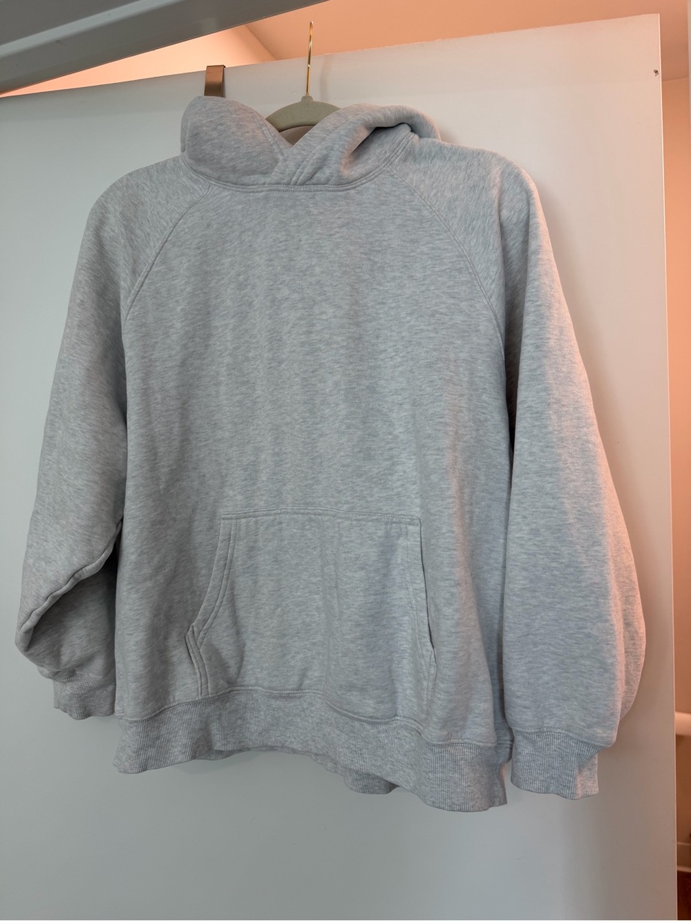 Aritzia Mega Raglan Hoodie